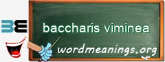 WordMeaning blackboard for baccharis viminea